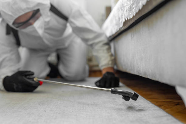 Professional Bed Bug Control technician working in Farmingdale, NY